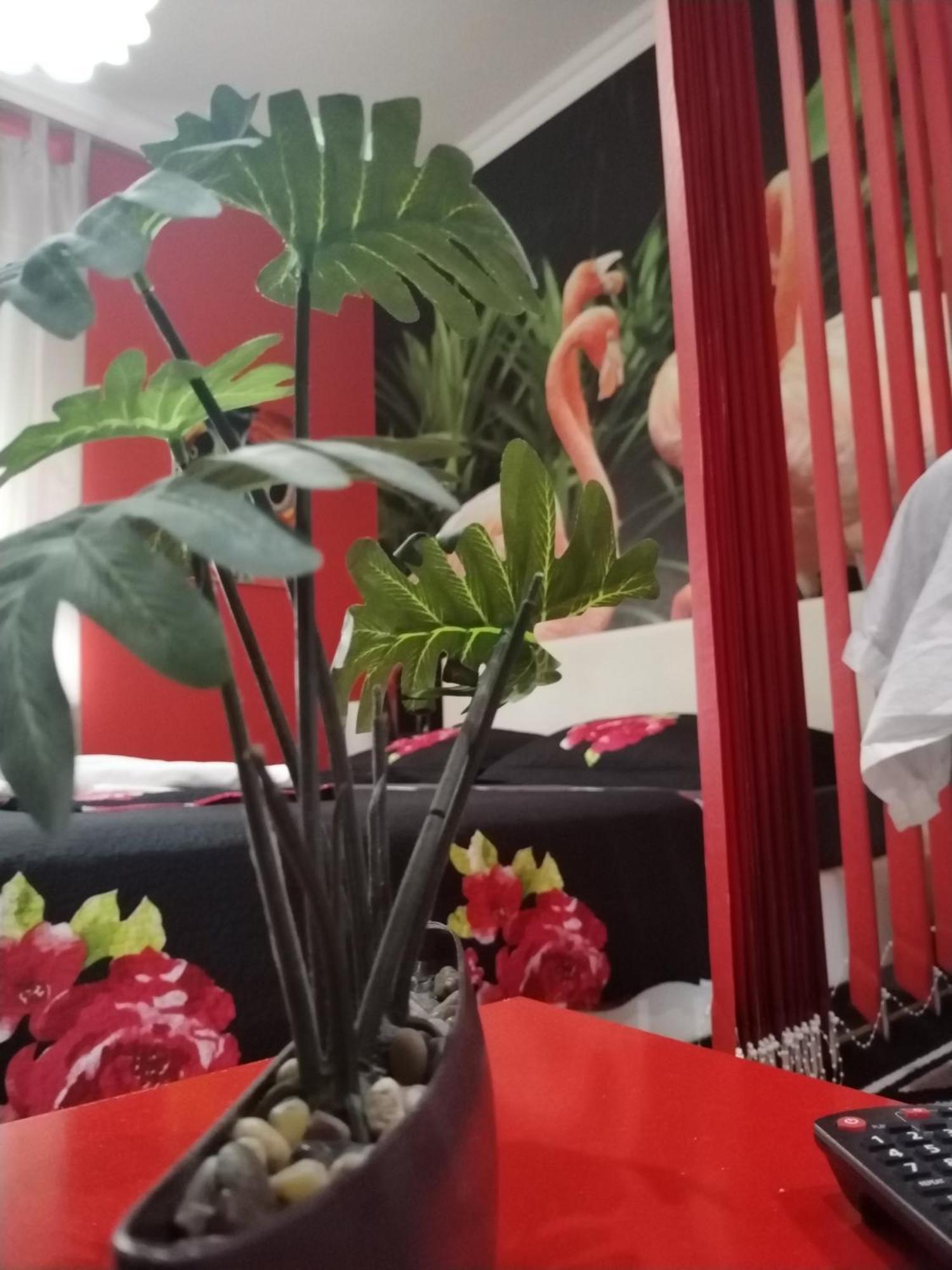 Flamingos Apartman & Fitness Centar Osijek - Blizina Bolnice Kbc Osijek Exteriör bild
