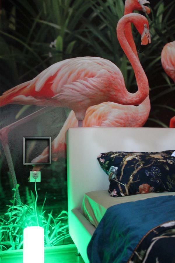 Flamingos Apartman & Fitness Centar Osijek - Blizina Bolnice Kbc Osijek Exteriör bild